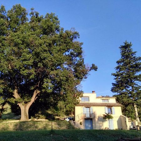 Maison d'hôtes du Grand Chêne Valensole Exterior foto