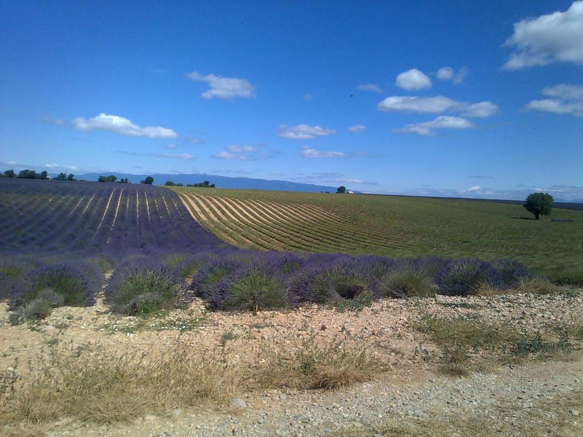 Maison d'hôtes du Grand Chêne Valensole Exterior foto