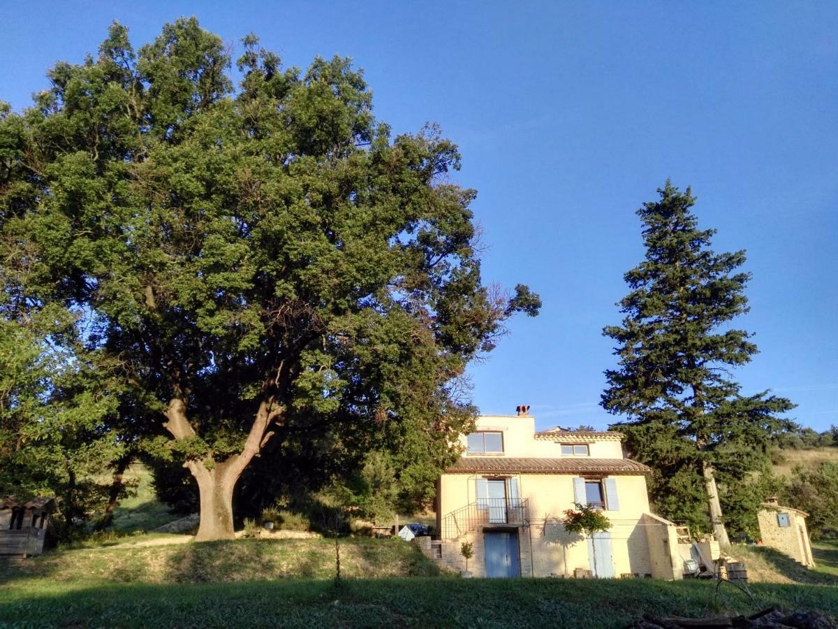 Maison d'hôtes du Grand Chêne Valensole Exterior foto